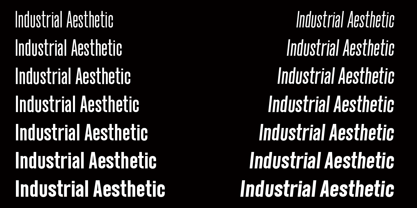 Example font Neumatic Gothic #13
